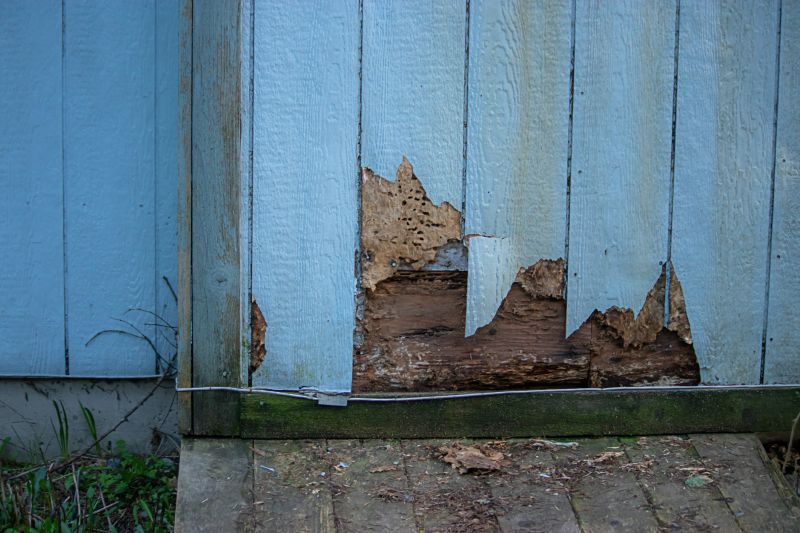 Siding Panel Replacement