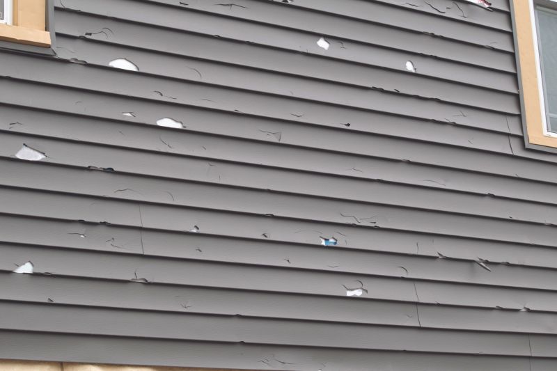 Siding Material Selection