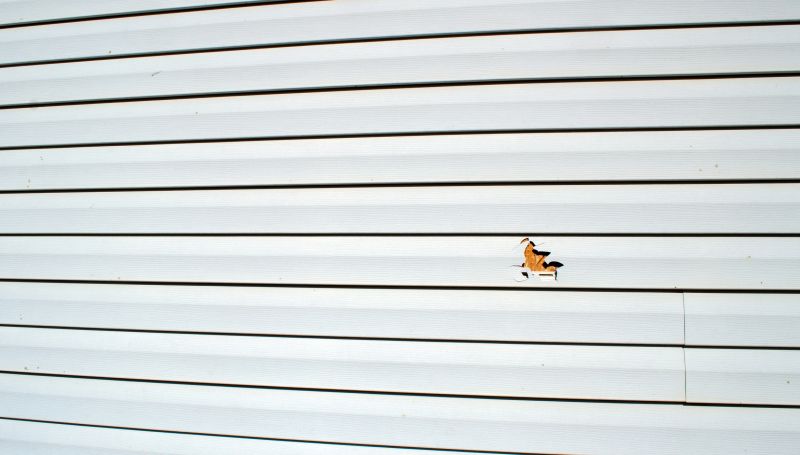 Skilled Siding Contractors